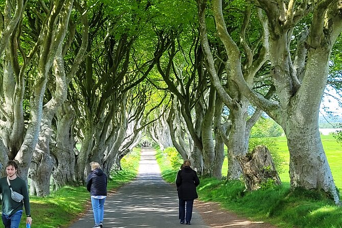 4 Hours Private Belfast City Tours - Tour Highlights