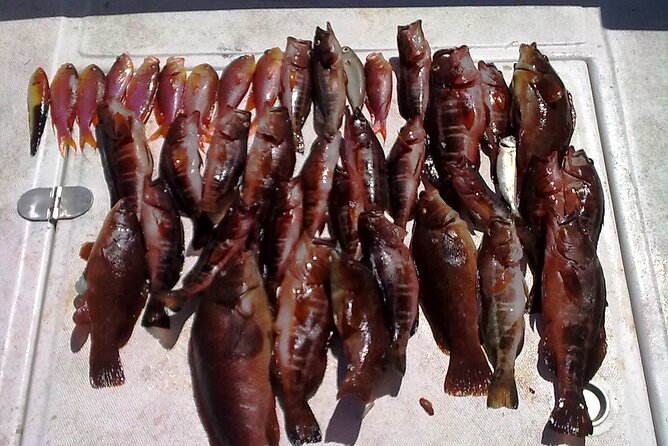 4h Half-Day Amazing Private Coastal Fishing - Booking Confirmation