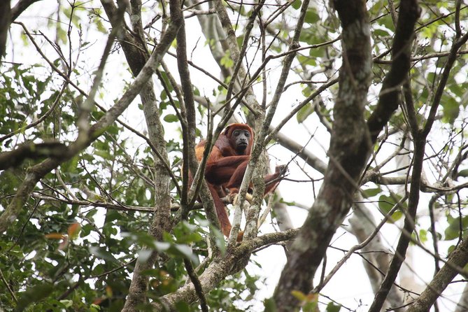 5-Day All Inclusive Cuyabeno Amazon Adventure With Accommodation in Eco Lodge - Accommodation and Facilities