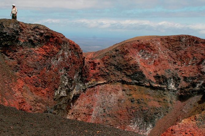 5-Day All-Inclusive Galapagos: Isabela and Santa Cruz Island - Visiting Santa Cruz Island