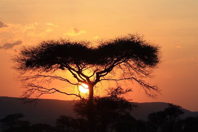 5-Day Private Camping Safari Tour in Tanzania - Booking and Cancellation Policy