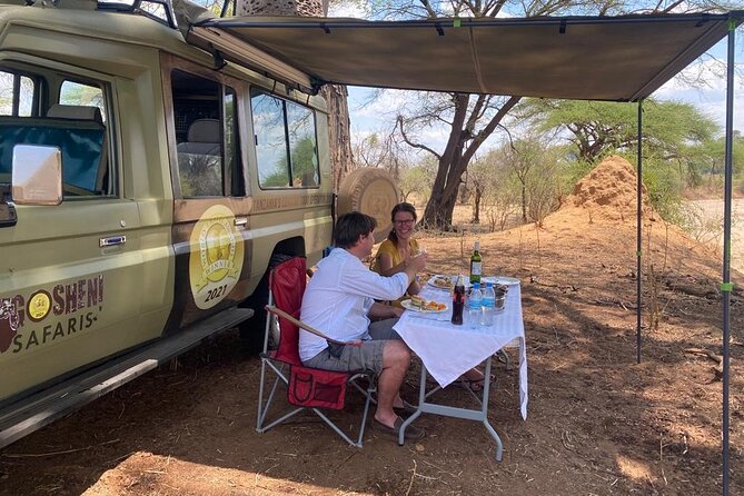 5-Day Private Northern Tanzania Safari From Arusha - Accessibility Features