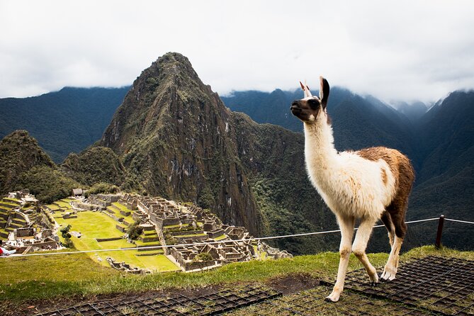 5-Day Tour in Laguna Humantay-Mountain of Colors-Machu Picchu - Day 5: Departure