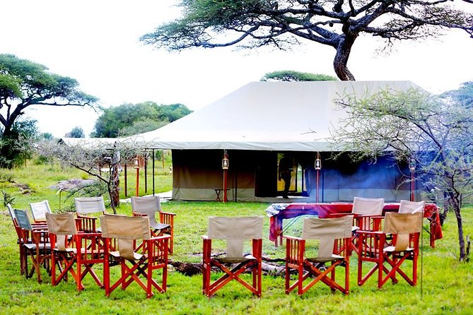 5 Days 4 Nights Tarangire, Serengeti , Ngorongoro & Manyara Wildlife Safari - Booking and Pricing