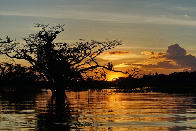5 Days Cuyabeno Wildlife Reserve Adventure - Medicinal Plant Discovery