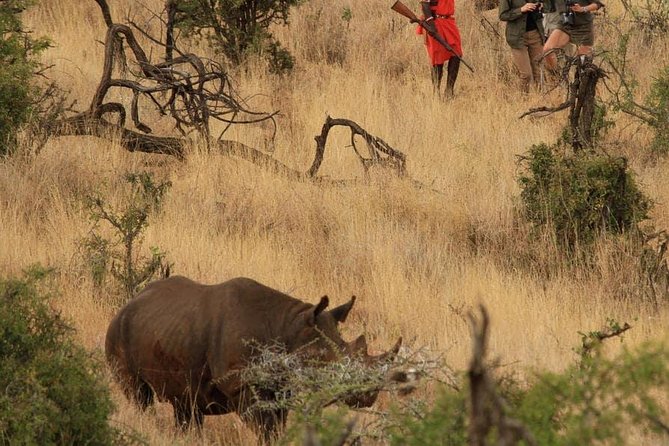 5 Days Kenya Masai Mara and Lake Nakuru Private Tour - Reviews and Ratings