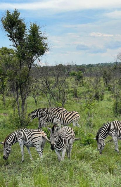 5 Days-Kruger Park and Panorama Route Tour From Johannesburg - Frequently Asked Questions