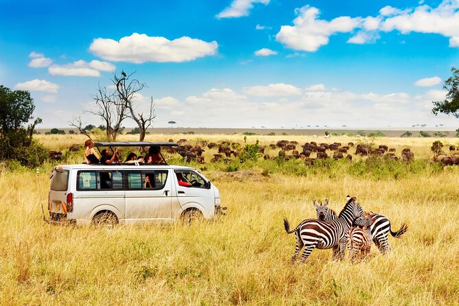 5 Days Masai Mara, Lake Nakuru & Naivasha Budget Joining Safari - Pricing and Booking Details