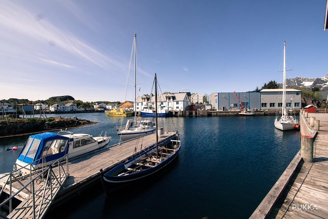 5 Highlights Of Lofoten From Svolvær - Savor Delectable Seafood