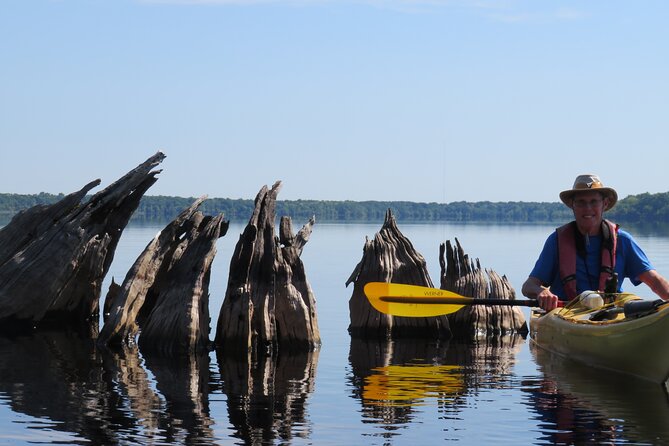 5 Hours Lake Norris Kayak Activity With Lunch - Booking and Cancellation Policy