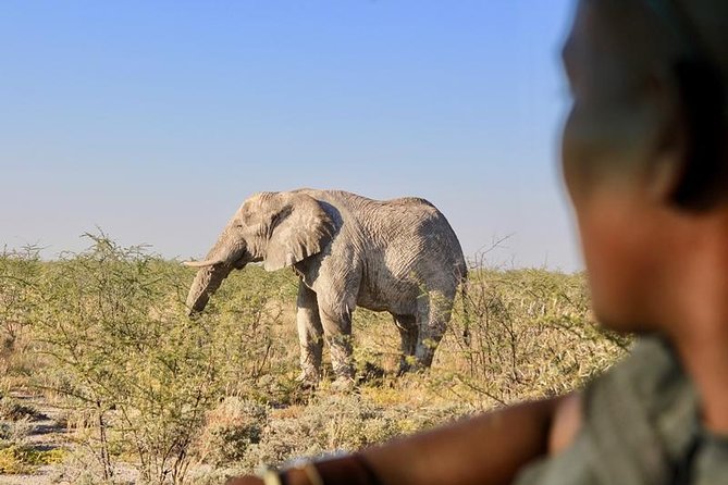 6-Day Dunes and Wildlife Accommodated Safari From Windhoek - Important Travel Information