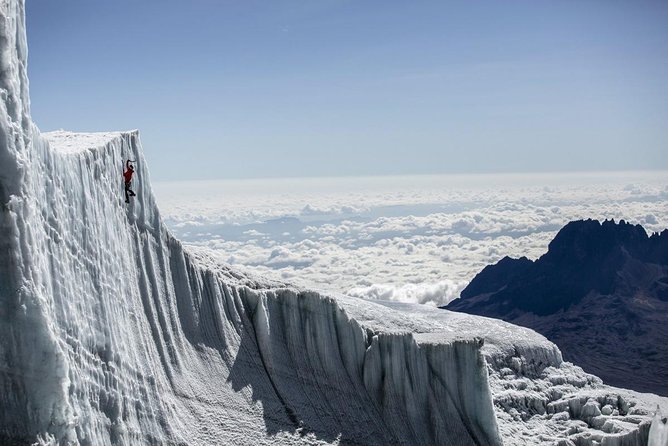 6-Day Kilimanjaro Umbwe Route–Steep,Adventurous, Challenging Path - Traveler Testimonials and Reviews