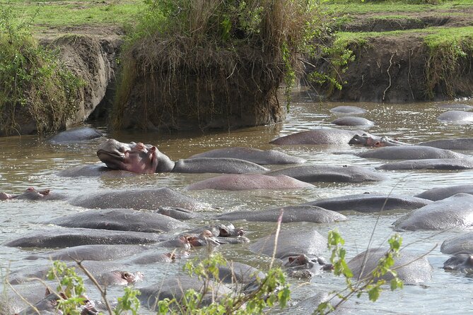 6-Day Northern Safari - Traveler Reviews and Ratings