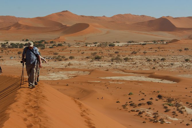 6 Day Private Guided Accommodated Namibian Loop - Traveler Reviews and Experiences