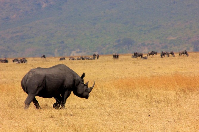 6 Days 5 Nights Lodge Safari Tarangire, Manyara, Serengeti & Ngorongoro Crater - Exploring Lake Manyara