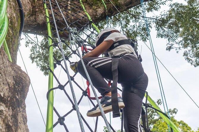 60M Tree Climbing Experience With Descent in Tarzan or Rapel - Meeting and End Point