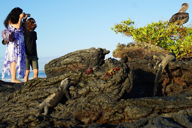 7-Day Galapagos Essentials - Discovering Quito