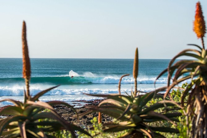 7 Day Garden Route to Addo, Cape Point and Winelands Combo Tour - Optional Adventure Activities