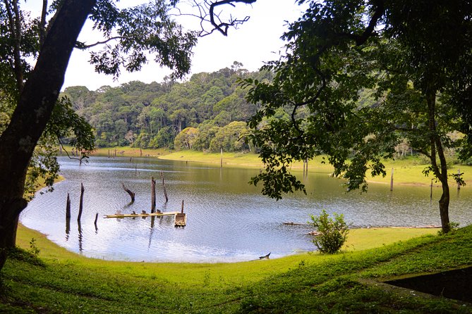 7 Days Kerala Tour- Munnar, Periyar, Houseboat & Varkala Beach - Varkala Beach Experience