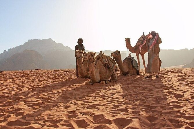 8 Days Jordan Tour: Petra, Wadi Rum, Aqaba - Exploring Petra