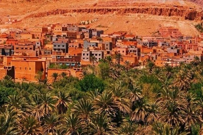 8 Luxury Days Tour Fez to Marrakech via Desert With Transfers Airport - Customer Reviews and Ratings
