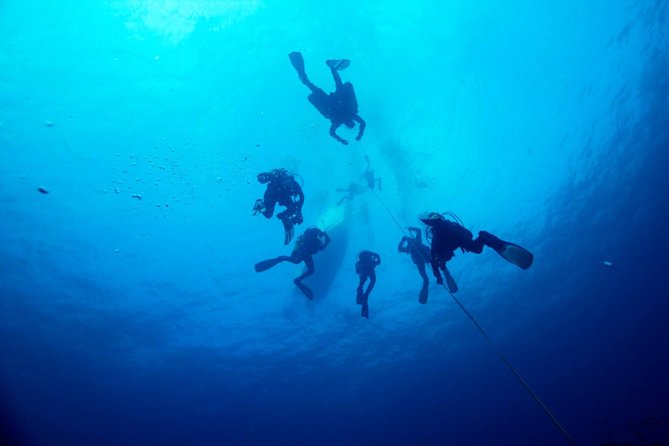 A Day at the Beach and Diving - The Sum Up