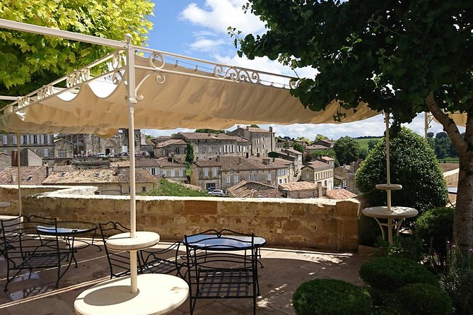 A Day in Saint-Émilion and Its Châteaux in a Private Tour (Van Luxe) - Flexibility and Accommodations