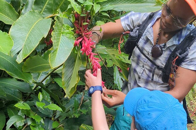 A Day of Relaxation in the Jungle and Waterfalls of Dominica - Discovering Sulfur Waters