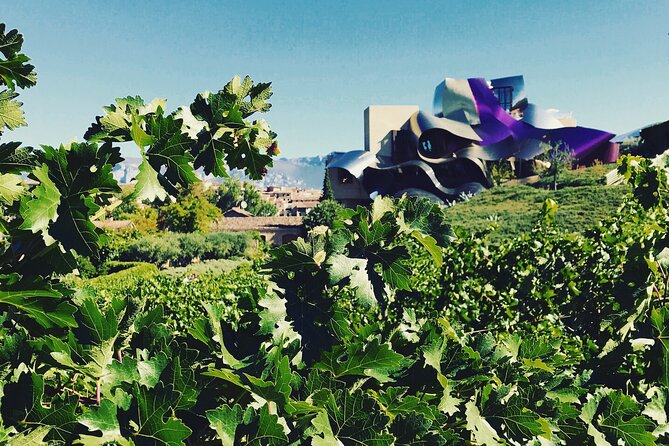 A Sip-By-Sip Tour of 3 Boutique Rioja Family Wineries (Private Tour With Lunch) - Guest Testimonials