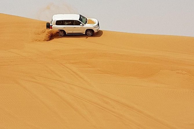 Abu Dhabi Desert Safari 4x4, BBQ Dinner, Camel Ride - Customer Reviews