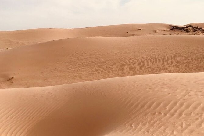 Abu Dhabi Morning Desert Safari,Dune Bashing,Sandboarding,Camel Riding&Quad Bike - Participant Guidelines and Safety