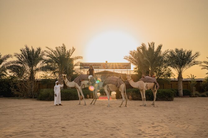 Adrenaline Combo : Desert Activities + ATV or Quad Bike Option - Cultural Immersion Activities