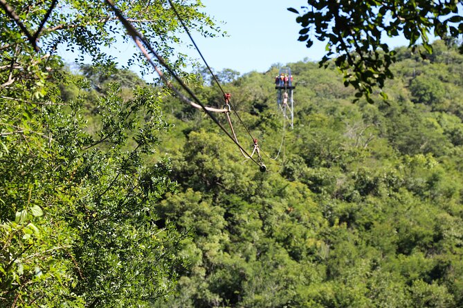 Aerial Cable Trail in Hazyview - What to Expect on the Trail