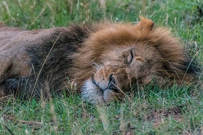 African Wildlife & Nature - 5 Kenya National Parks - 6 Day Jeep Safari - Discovering Hells Gate National Park