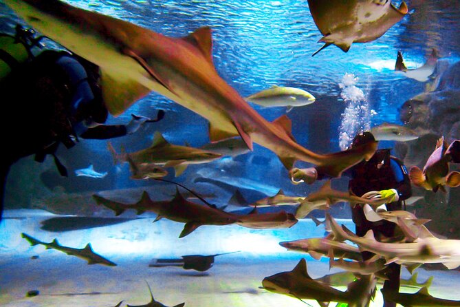 Alexander Waterfall and Antalya Aquarium Day Tour From Side - Booking and Cancellation Policy