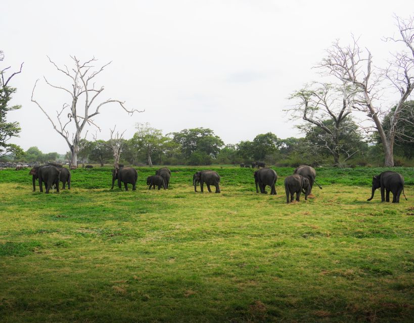 All-Inclusive Habarana Hurulu Eco Park Privet Halfday Safari - Eco-tourism Commitment