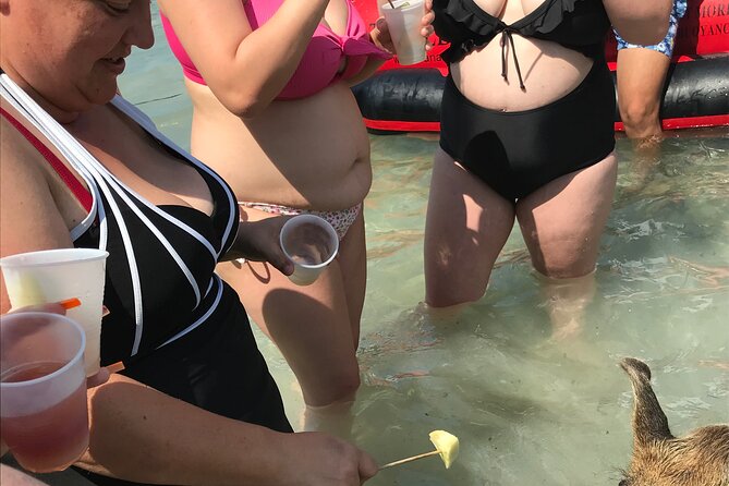 All Inclusive Swimming With The Pigs - Exploring Nassaus Sights