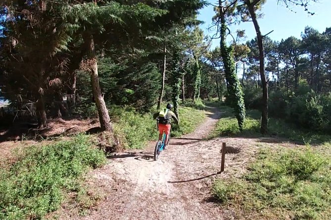 All-Terrain Electric Scooter - 1h30 Guided by GPS - "Carnac Beaches" - Reviews and Ratings