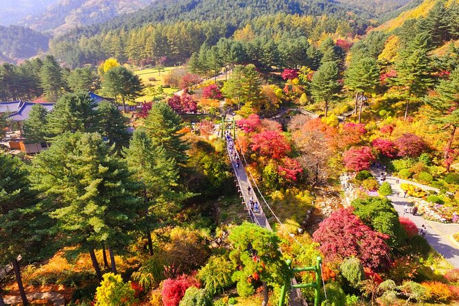 Alpaca World Tour With Nami Island & Optional Railbike or Garden - Tips for Travelers