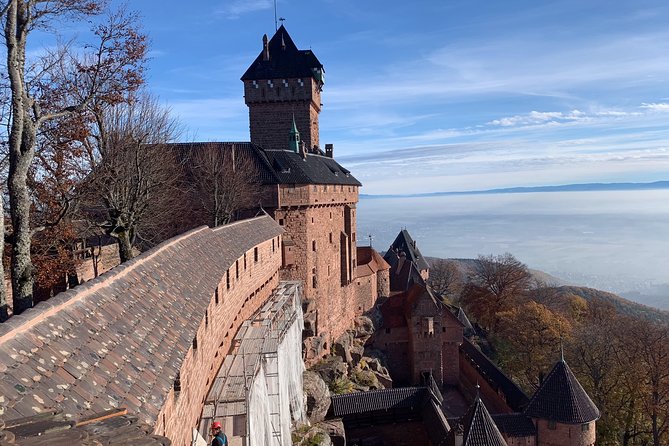 Alsace Private Tailored Tour in a Tesla With a Local - Pricing and Additional Costs
