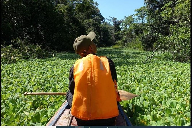 Amazon Wildlife Excursions 2/ Days /1 Night 280 Usd - Transportation Options