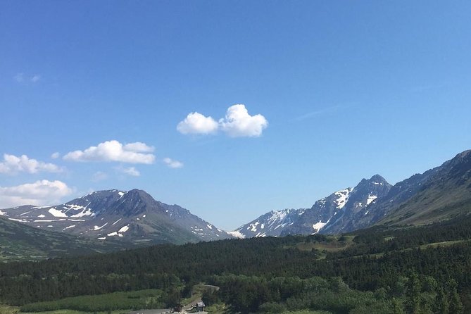 Anchorage Scenic Mountain Bike Tour - Traveler Feedback and Reviews