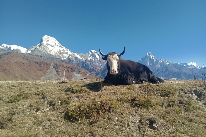 Annapurna View Trek - Health and Safety Tips