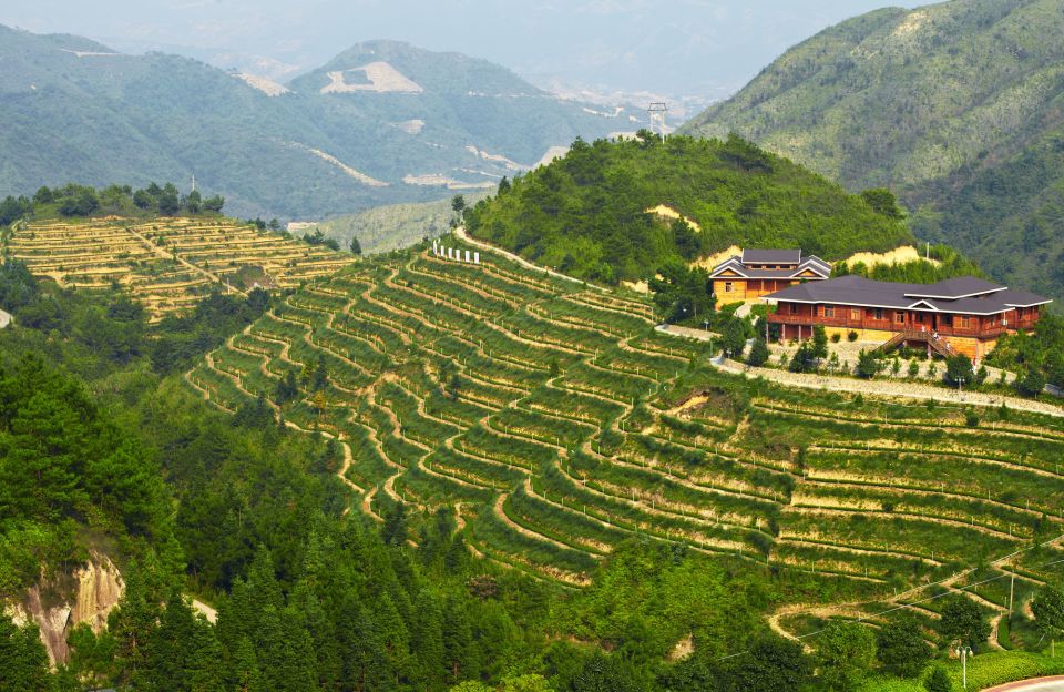 Anxi Tea Garden and Hong'En Rock From Xiamen - Organic Lunch and Tea Tasting