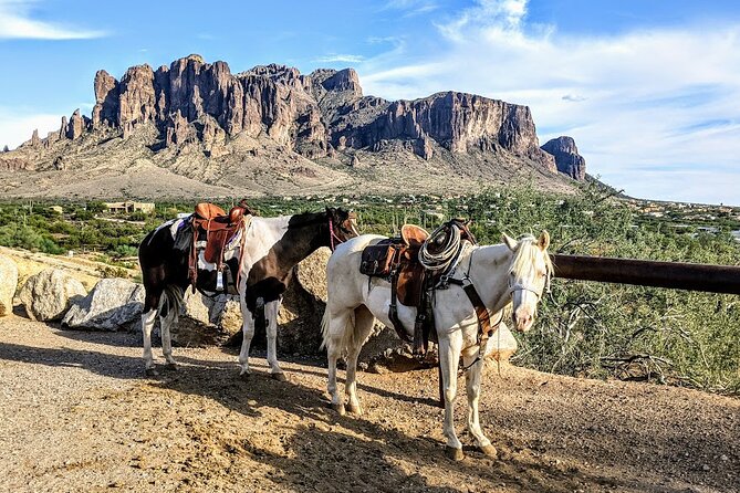 Apache Trail Day Trip Including Dolly Steamboat - Traveler Feedback