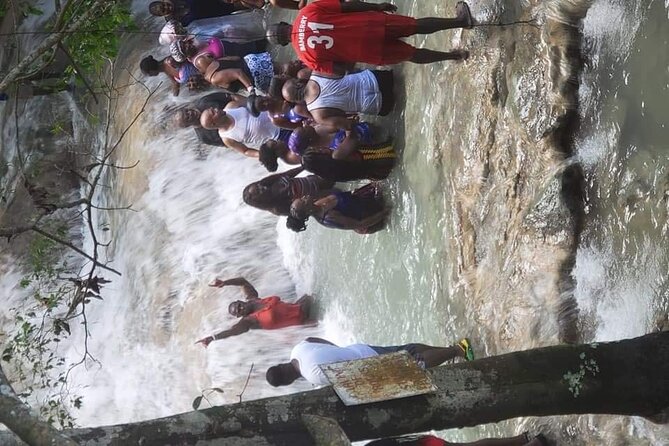 Appleton Rum Tour, Pelican Bar and Black River Safari Experience - Pelican Bar