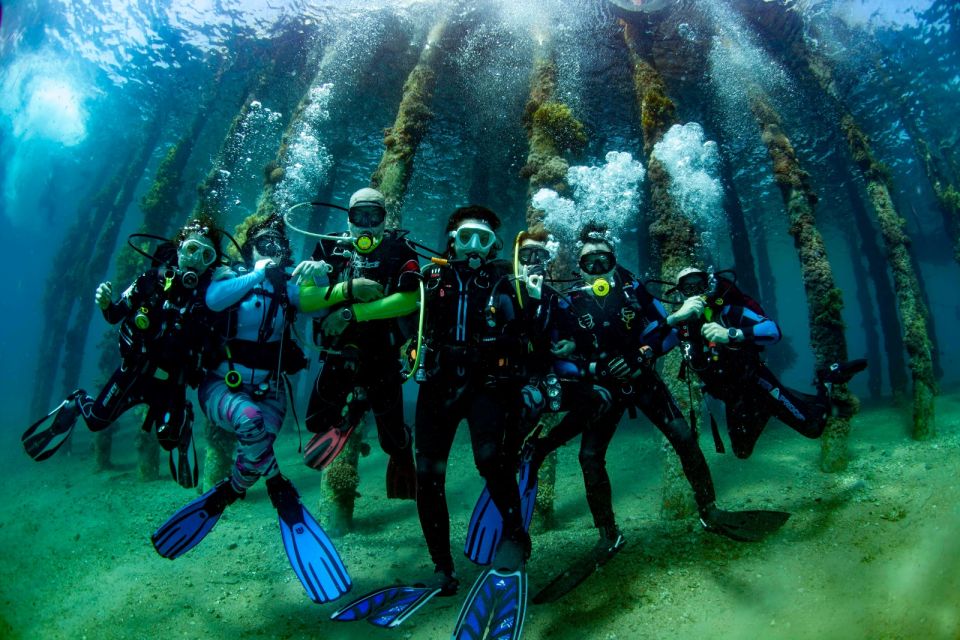 Aqaba: Private Introductory Red Sea Dive From the Shore - Accessibility Features