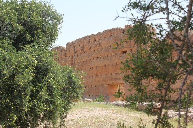 Argan Forest, Tea Time at a Berbers Family & Visit of an Argan Cooperative. - What to Prepare for the Trip