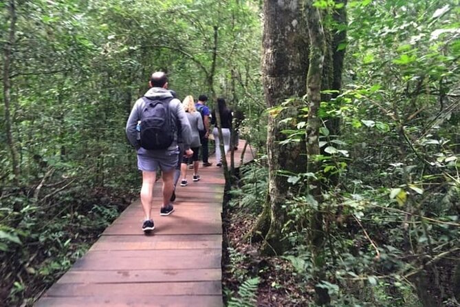 Argentine and Brazil Falls Private Tour With Fast-Track Tickets - Discovering Brazil Falls