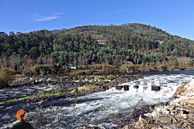 Arista Tour - Penacova Windmills and Landscapes (noon) - Stunning Landscapes